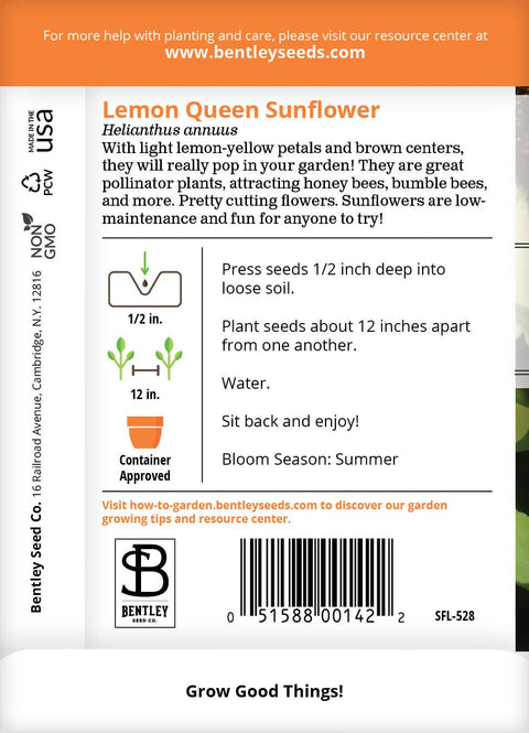 Sunflower | Lemon Queen Seeds