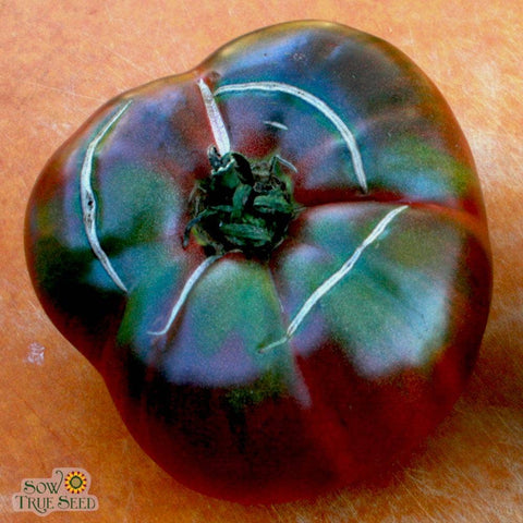Black From Tula Tomato Seeds