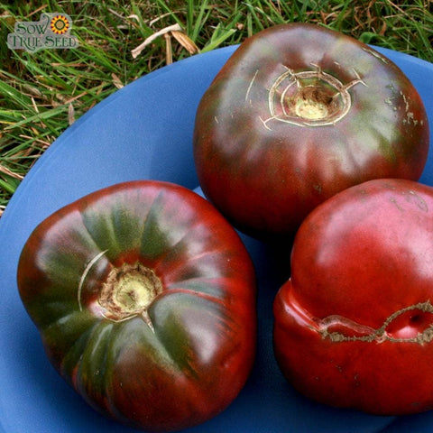 Cherokee Purple Tomato Seeds | ORGANIC