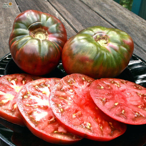 Cherokee Purple Tomato Seeds | ORGANIC