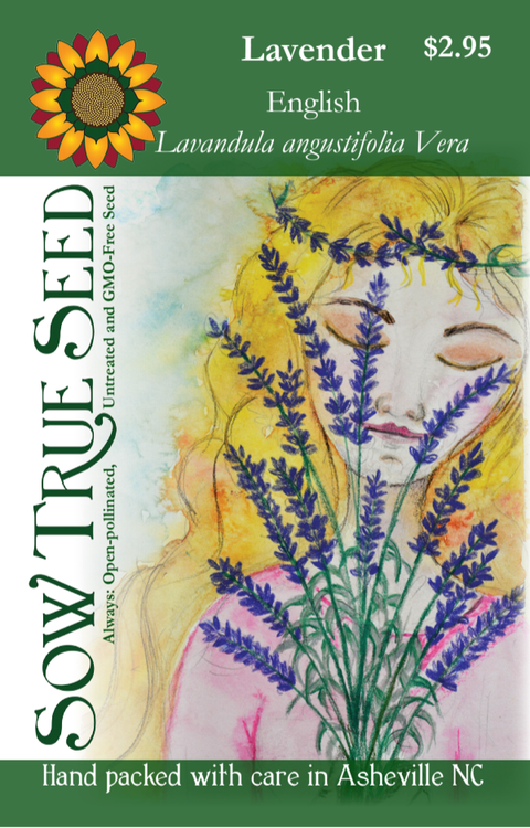 Lavender Seeds | English (Vera)