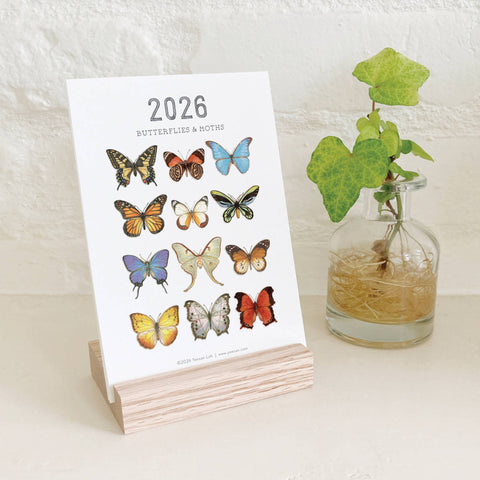 2026 Calendars: Butterflies & Moths