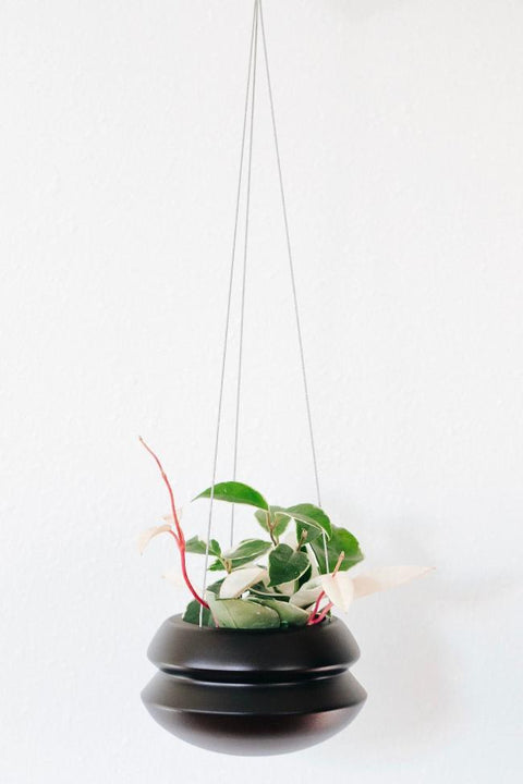 Hanging Planter