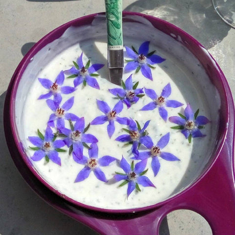 Flower Seed Mix - Edible Flowers
