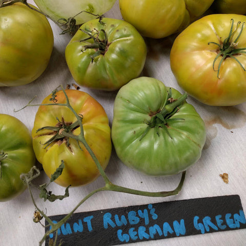 Slicing Tomato Seeds - Aunt Ruby's German Green, ORGANIC