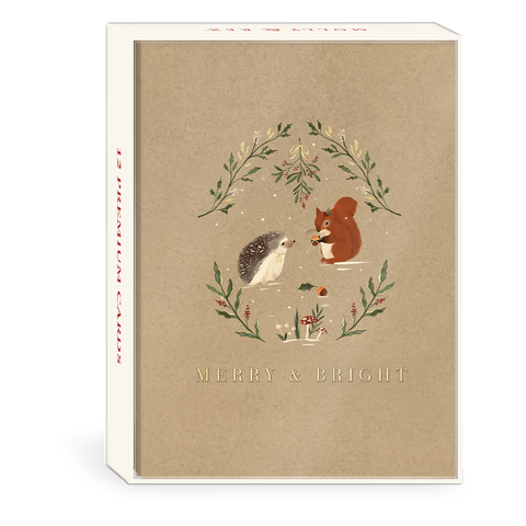 Premium Holiday Boxed Cards Woodland Hedgehog