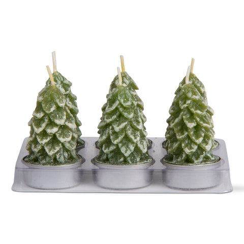 Spruce Tealight Candles Set of 6