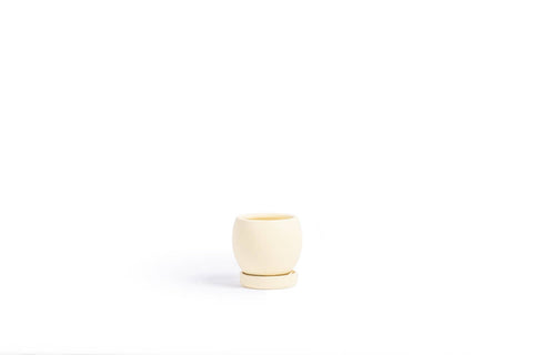 4.25" Bollé Pots w/Water Saucers