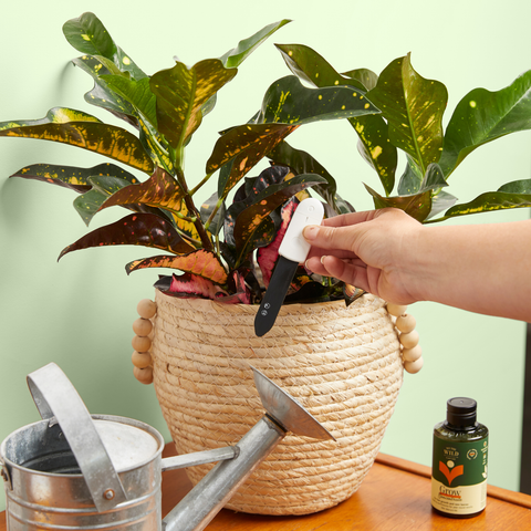 Soil Moisture Meter For Houseplants