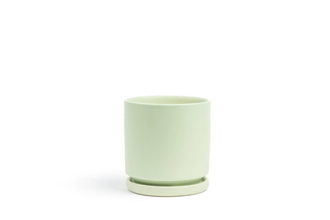 4.5" Gemstone Cylinder Pots with Water Saucers