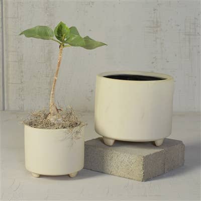 Simon Footed Planter, Ceramic, White - Lrg - Matte White