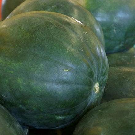 Watermelon Seeds - Sugar Baby, ORGANIC