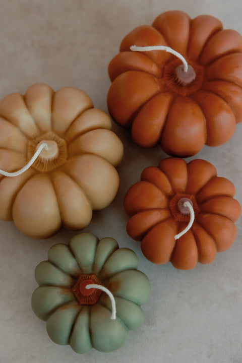 Fall Pumpkin | Large