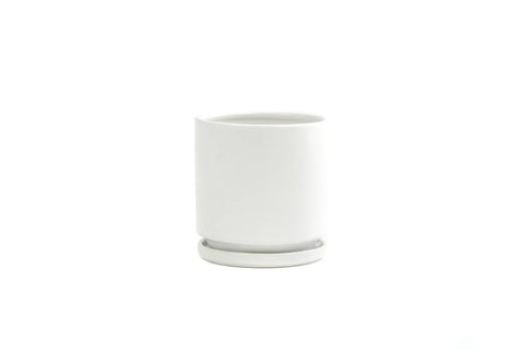 6.5" Gemstone Cylinder Pots with Water Saucers