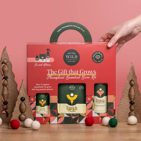 Holiday Plant Care Taster Kit