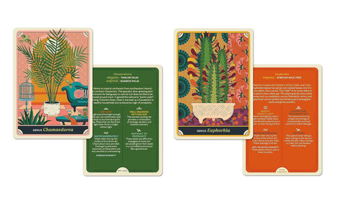 The Happy Houseplant Deck