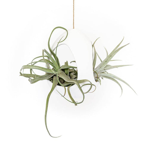 Large White Ceramic Hanging Pod