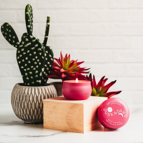 Cactus Flower Mini Tin Candle