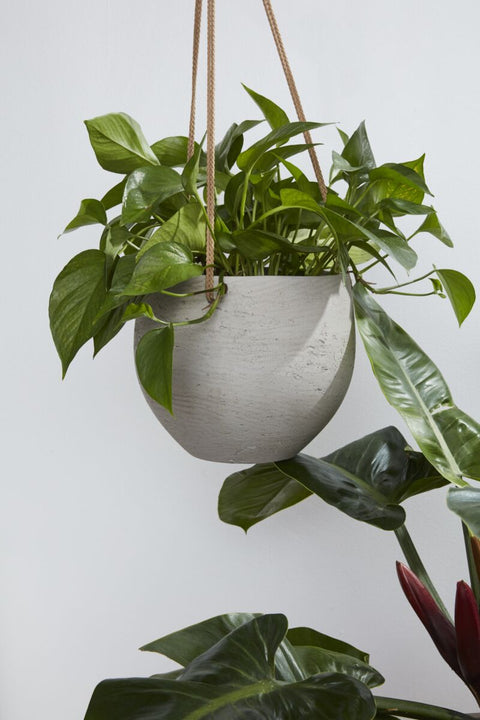 Figueroa Hanging Pot