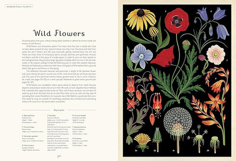 Botanicum | Welcome to the Museum Book