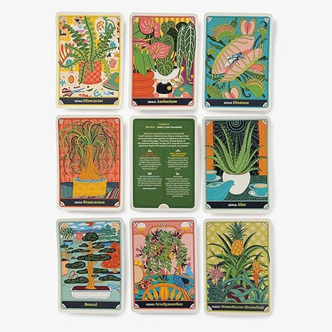 The Happy Houseplant Deck