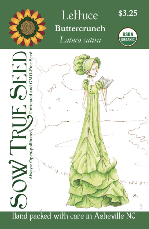 Lettuce Seeds | Buttercrunch, ORGANIC