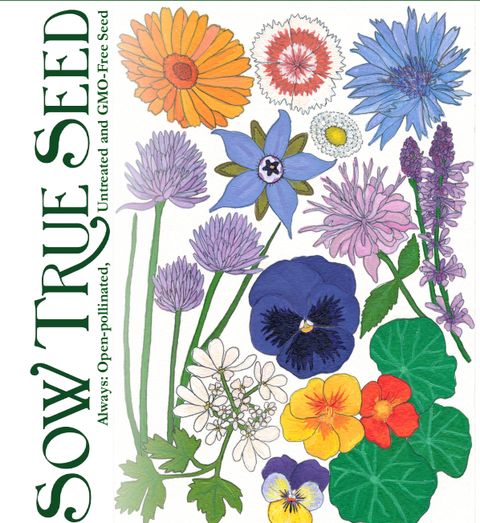 Flower Seed Mix - Edible Flowers