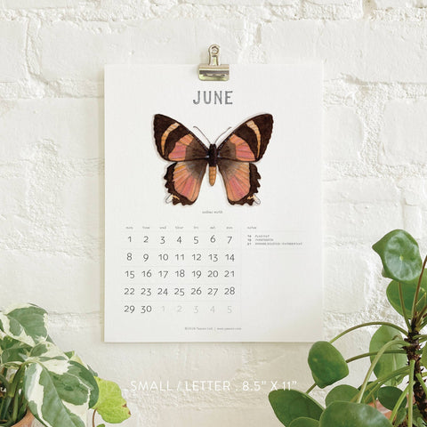 2026 Calendars: Butterflies & Moths