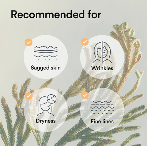 ABIB Collagen Gel Face Mask Vegan