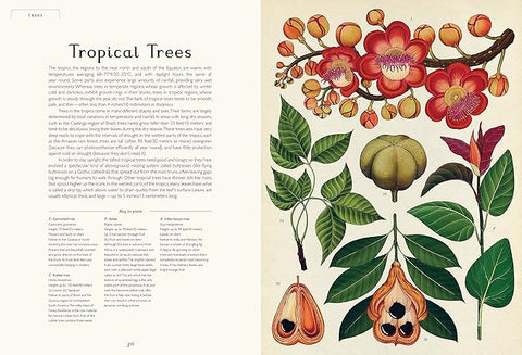 Botanicum | Welcome to the Museum Book