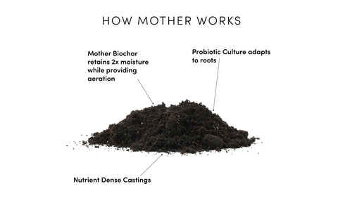 Mother Probiotic Soil