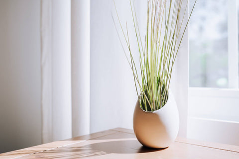 Small Ceramic Air Plant Vase