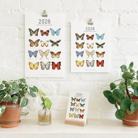 2026 Calendars: Butterflies & Moths