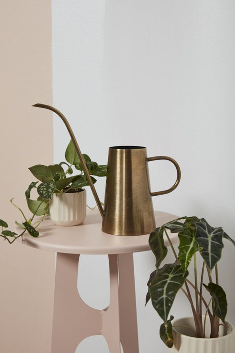 Brass Watering Can