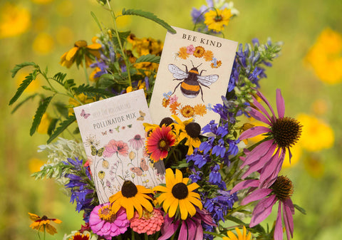 Pollinator Butterfly | Wildflower Mix Seed Packets