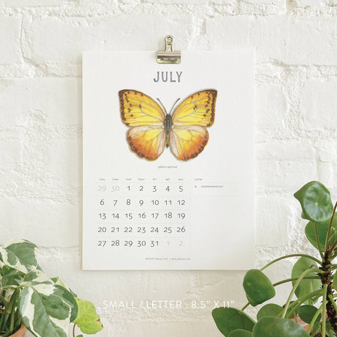 2026 Calendars: Butterflies & Moths
