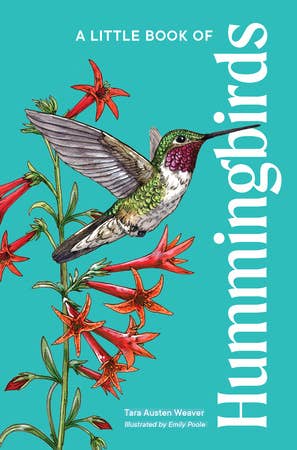 Little Book Of Hummingbirds