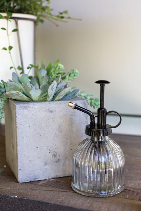 Glass Plant Mister