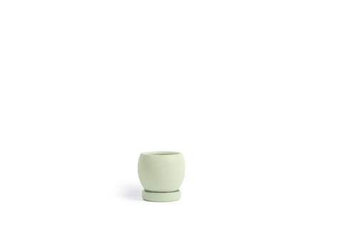 4.25" Bollé Pots w/Water Saucers