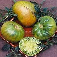 Slicing Tomato Seeds - Aunt Ruby's German Green, ORGANIC