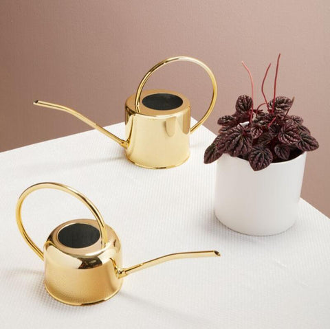 Gold Watering Can