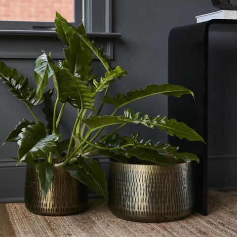 Jardin Pot