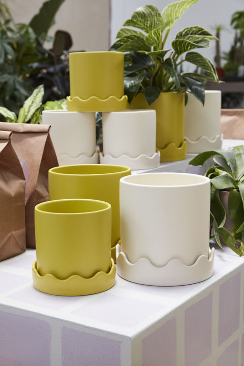 Pissaro Pot | Chartreuse