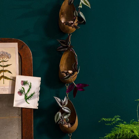 Ramble Tillandsia Holder