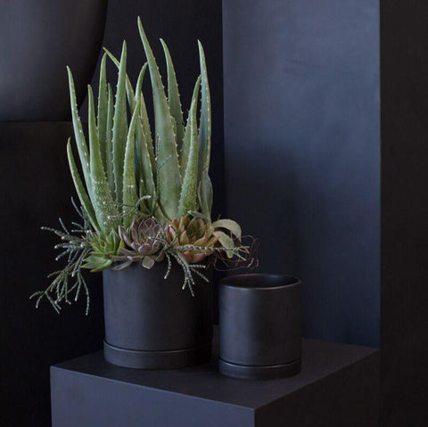 Romey Plant Pot in Black