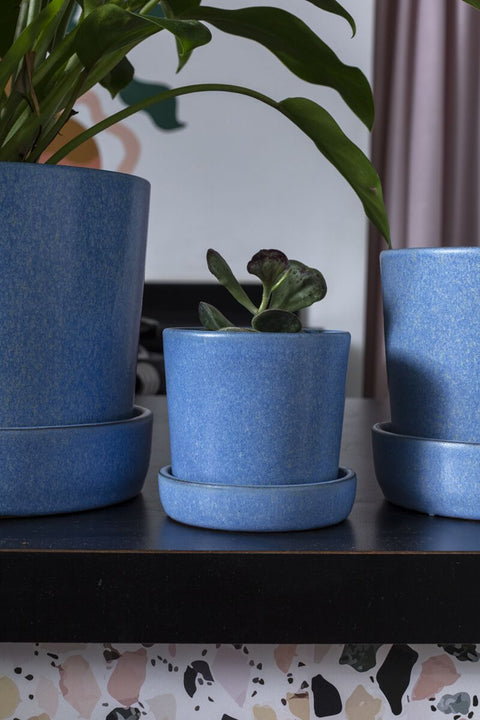 Watson Pot w/ Saucer
