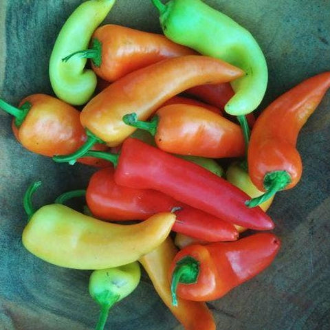 Sweet Pepper Seeds | Sweet Banana