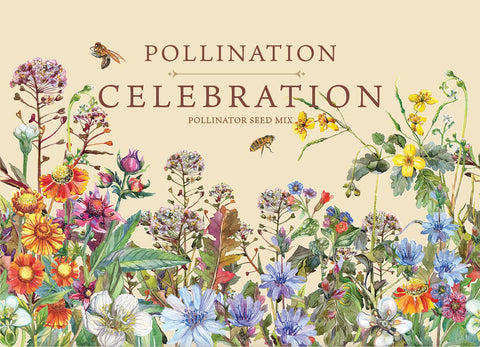 Pollination Celebration | Pollinator Wildflower Mix Seed