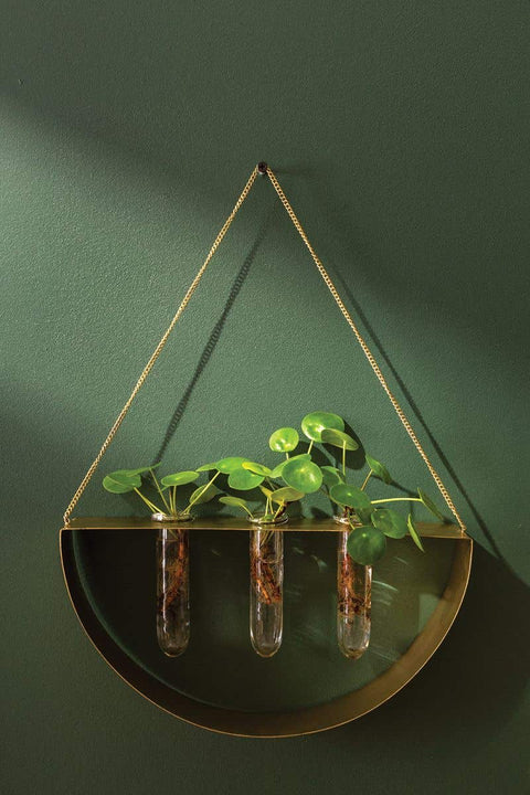 Brass Semicircle Propagation Station